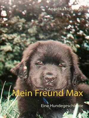 cover image of Mein Freund Max